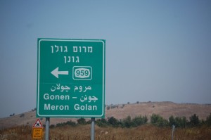 Camino del Golán. I. Legarda